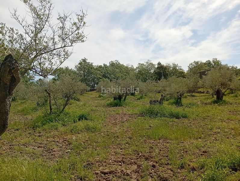 Foto f0ad1704-6f88-4869-8c51-b87aca083038. Finca rústica a Villanueva de la Vera