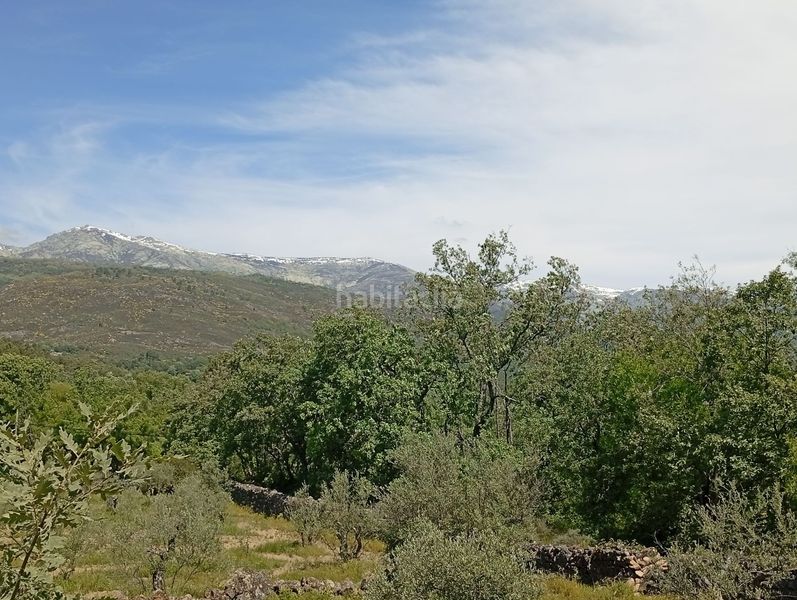 Foto f53bca4a-3822-42c0-9822-45c73d23fc68. Finca rústica a Villanueva de la Vera