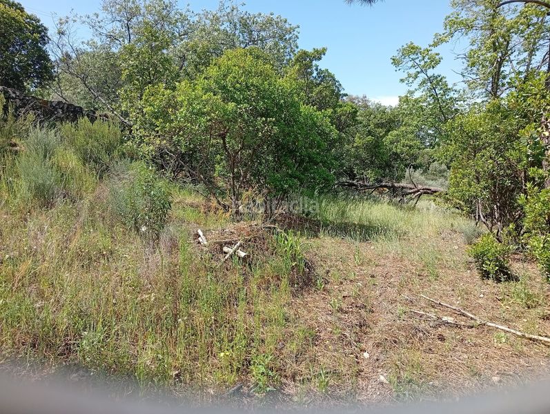 Foto ffee7ab4-1026-448a-9903-4eed1892701e. Finca rústica a Villanueva de la Vera