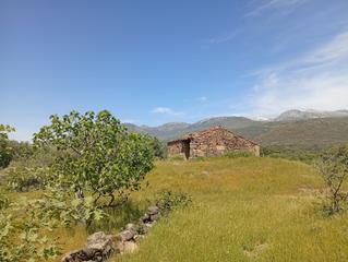 Propriété à Villanueva de la Vera. Vende con nosotros desde solo el 1,9 !