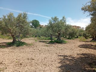 Landgut in Villanueva de la Vera