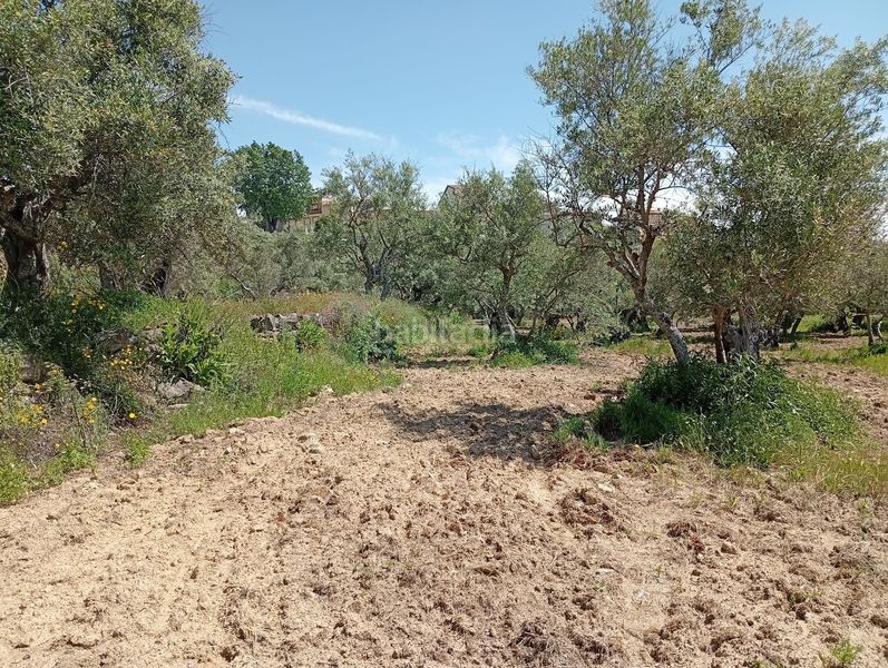 Foto 3d112a1d-243f-42a7-8aa1-1f60b56730dd. Finca rústica a Villanueva de la Vera