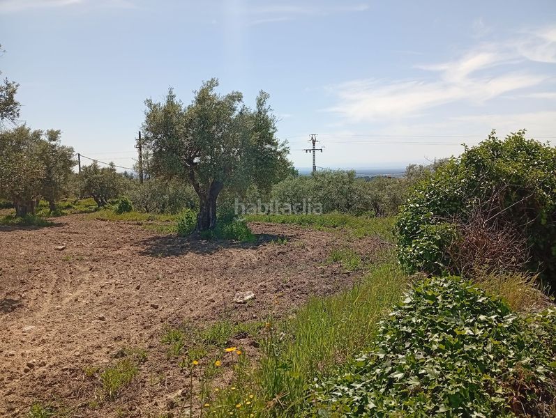 Foto 543a90bd-0047-4255-bd68-78cbc4a0df13. Finca rústica a Villanueva de la Vera