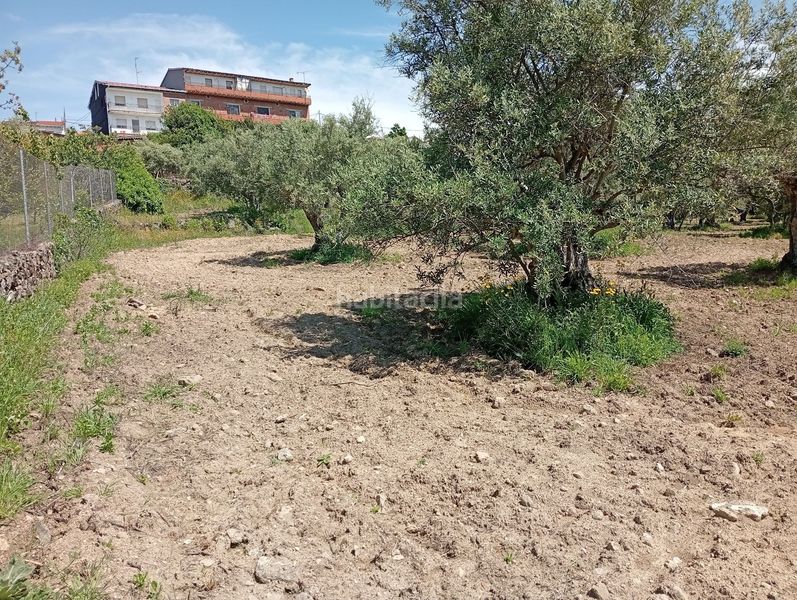 Foto 92f72034-8590-45c9-a401-dadc7c3eb31e. Finca rústica a Villanueva de la Vera