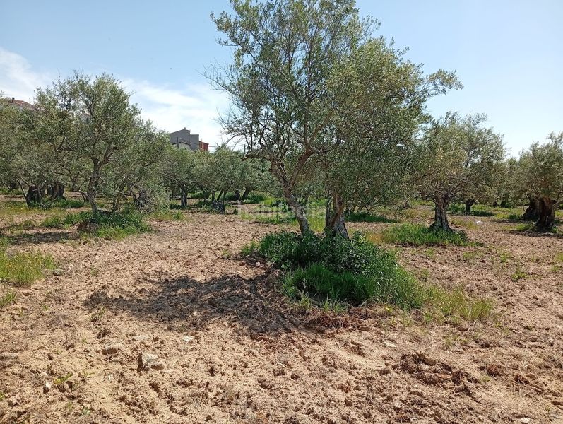 Foto 9f0a6ae5-395b-434d-a298-2e5d30e1a4d7. Finca rústica a Villanueva de la Vera