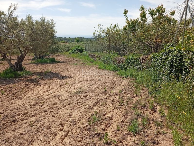 Foto a82a4858-8427-4a33-859e-a62b78e22304. Finca rústica a Villanueva de la Vera
