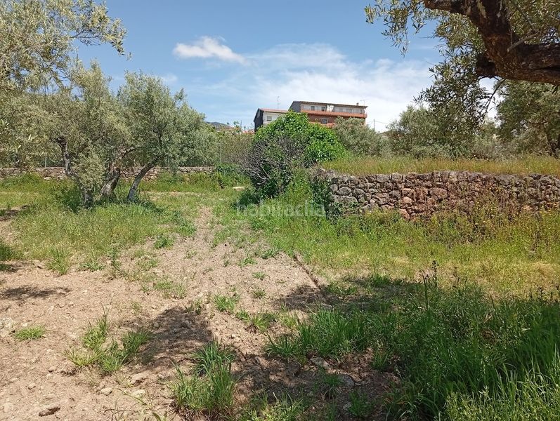 Foto c6ec64c4-53e4-4b08-a2b7-bc25c0a7e258. Finca rústica a Villanueva de la Vera