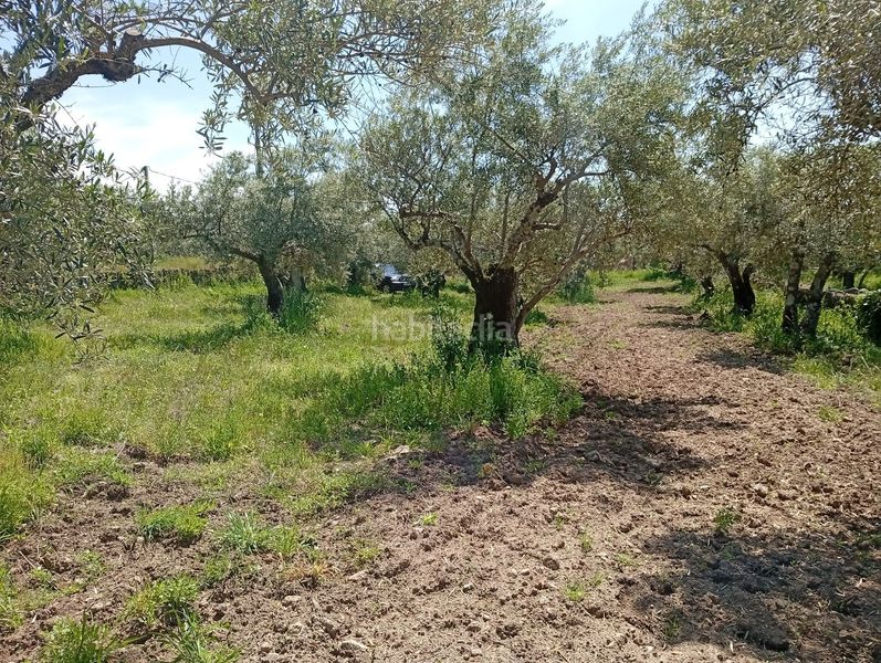 Foto d1514fd8-aac6-4b74-9789-2671c1bb6510. Finca rústica a Villanueva de la Vera