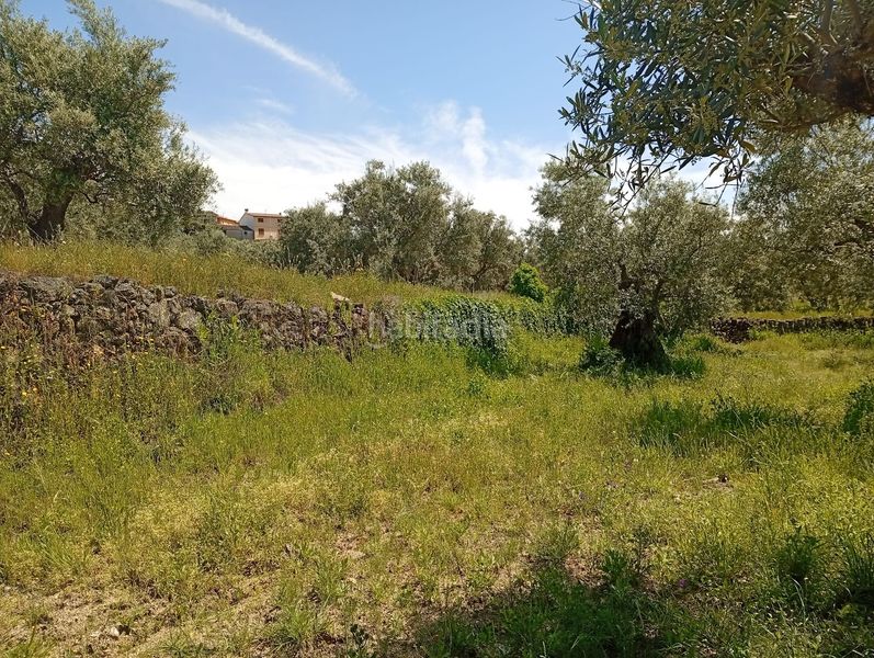 Foto d3d31272-f152-403c-81c8-22732e02597f. Finca rústica a Villanueva de la Vera