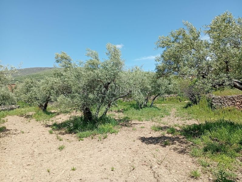Foto d5b75198-71e0-4499-a271-ab66e6795e4a. Finca rústica a Villanueva de la Vera