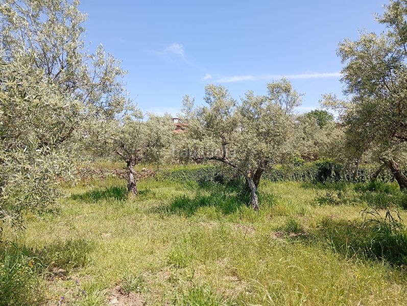 Foto e5c7daac-ce15-48ff-b4dd-7c63020d0e79. Finca rústica a Villanueva de la Vera