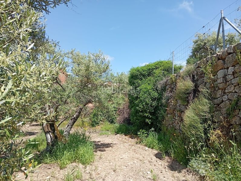 Foto f6069fef-d4ae-4593-85ba-c80ba3204e83. Finca rústica a Villanueva de la Vera