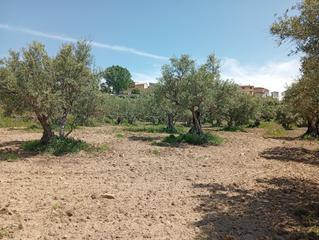 Propriété à Villanueva de la Vera. Vende con nosotros desde solo el 1,9 !