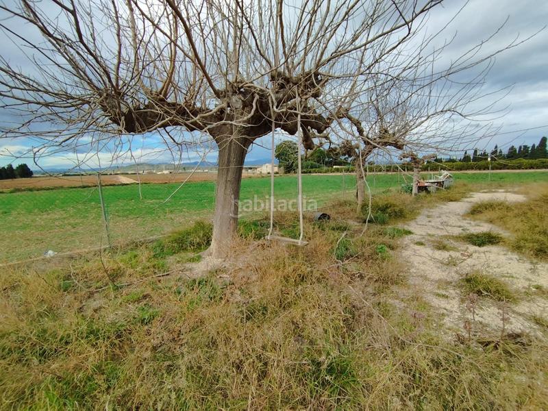 Foto 0a474f0e-6431-4ffd-94e4-82657a1eacf8. Chalet  individual en laldea oportunidad única por 129.000 en Aldea (L´)