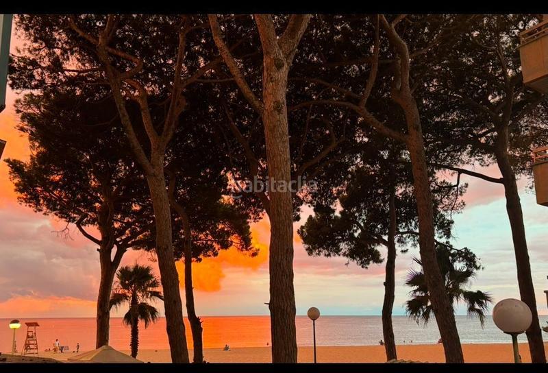 Foto e6f23efc-0702-4496-b352-7e30a00c9b42. Piccolo appartamento con parcheggio in Vilafortuny Platja Cambrils