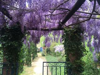 Lloguer Pis  Pont major