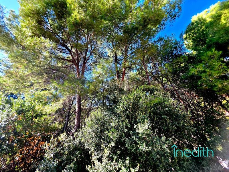 Foto 7214cee4-3405-48bd-a5fe-f8b820f9844f. Casa amb calefacció aparcament piscina a El Poal Castelldefels