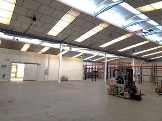 Nau industrial a Carrer oliveral nord 30m. Nave industrial en ribarroja