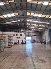 Rent Industrial building in Riba - roja de Túria. Nave logística ribarroja casanova (valencia)