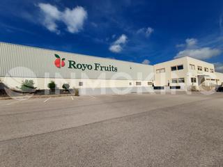 Miete Fabrikhalle in Poligono 50 220. Nave industrial con camaras frigoríficas