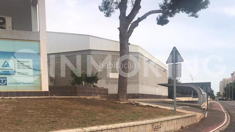 Foto d023482a-0b27-463d-ae7a-6cdd48842693. Location local commercial dans av. miguel de cervantes 2 dans Orihuela