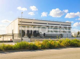 Miete Fabrikhalle in Zona Industrial. Nave en alquiler pinto