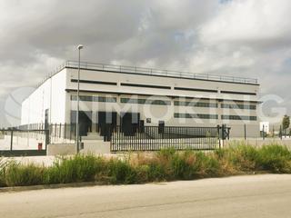 Miete Fabrikhalle in Zona Industrial. Nave en alquiler pinto