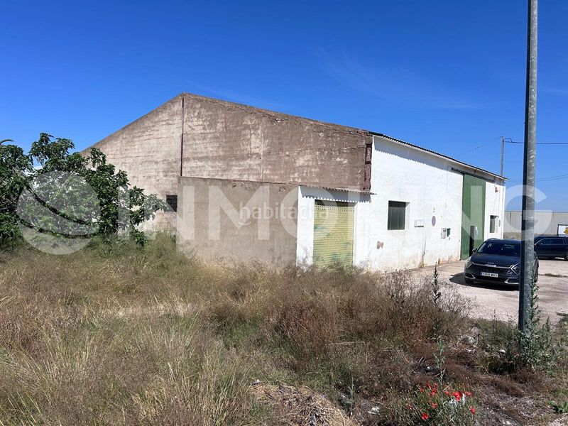 Foto 050b0ebd-51d5-4bed-ba72-a3b7f56dbd91. Fabrikhalle in cam. de los leñadores 10 in El Palmar Murcia