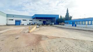 Affitto Capannone industriale in Calle santa teresa 37