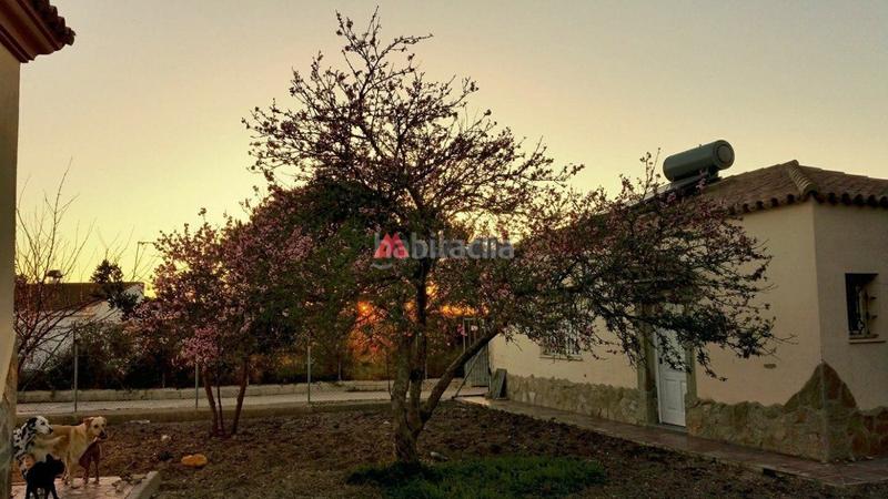 Foto 42269368-8f4b-45e0-a4ec-b22500d1d4b2. Chalet with heating parking pool in Las Lagunas - Campano Chiclana de la Frontera