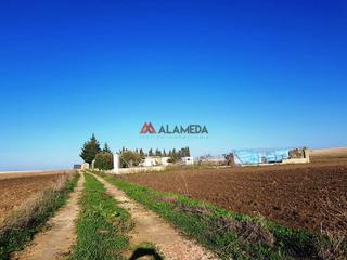 Terreny residencial a Los Franceses - La Vega. Parcela segregada miralamar