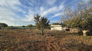 Proprit en Los Franceses - La Vega. Parcela segregada en zona pinar de los franceses