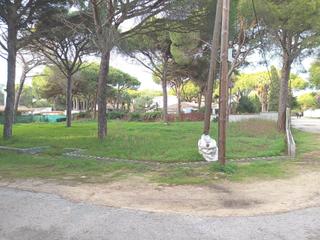 Fondo rustico  Camino del granado. Parcela rustica segregada pinar del eden