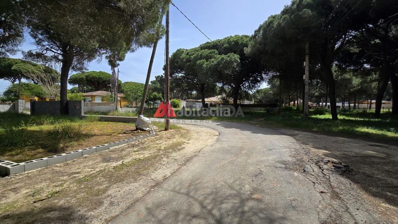 Foto 48cf1427-60ad-42ca-8756-a361e6e6327a. Finca rústica a Las Lagunas - Campano Chiclana de la Frontera