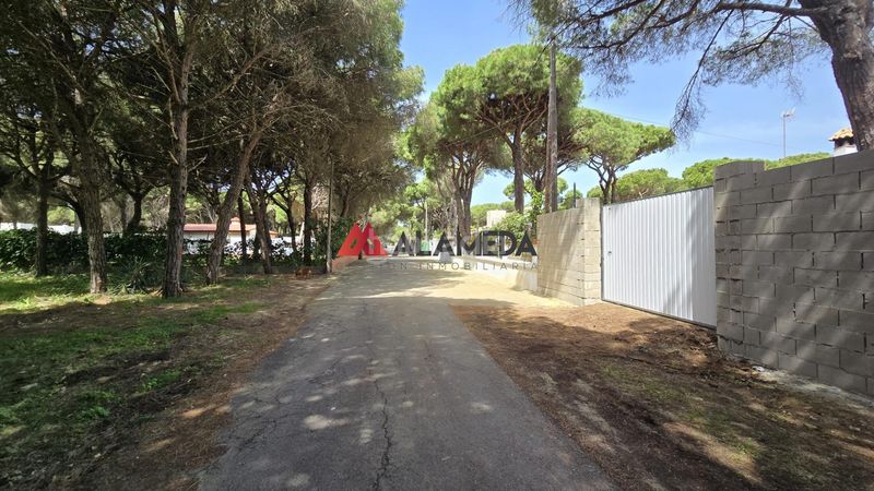 Foto 634f4ff0-002b-4746-a694-bdfb3903dfbd. Finca rústica a Las Lagunas - Campano Chiclana de la Frontera