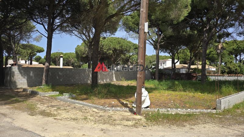 Foto 96d43560-e240-4358-9098-b754304d68a5. Finca rústica a Las Lagunas - Campano Chiclana de la Frontera