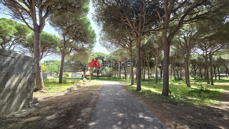 Foto be978de8-ece9-426b-b03b-073587d01d53. Finca rústica a Las Lagunas - Campano Chiclana de la Frontera