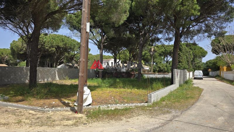 Foto cbec6093-777d-4cbb-8b3e-2ce41ce1aac1. Finca rústica a Las Lagunas - Campano Chiclana de la Frontera