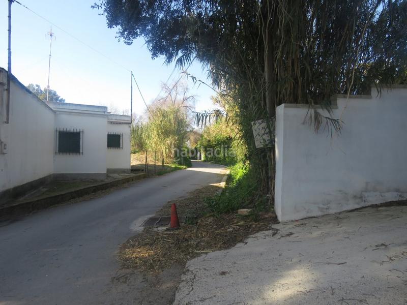 Foto b5790436-ed3c-469b-b787-e388ac25405f. Mas dans Vejer Vejer de la Frontera