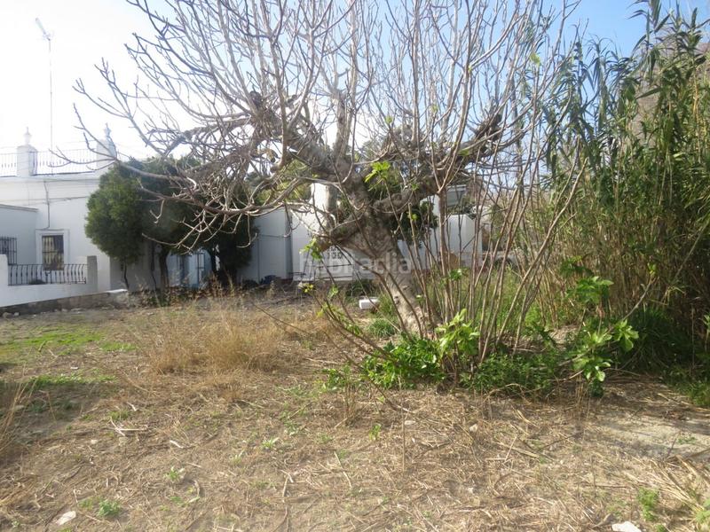 Foto cf46684b-a5f1-4a9b-bd71-a9ec8f3f847b. Mas dans Vejer Vejer de la Frontera