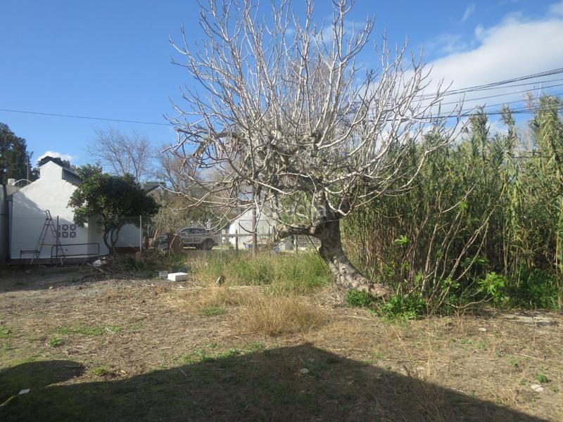 Foto ed4062ee-e677-4b19-bdf1-72b38c9d8bf7. Mas dans Vejer Vejer de la Frontera