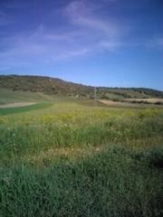 Terreny residencial a Vejer. Parcela junto al poligono industrial cañada ancha