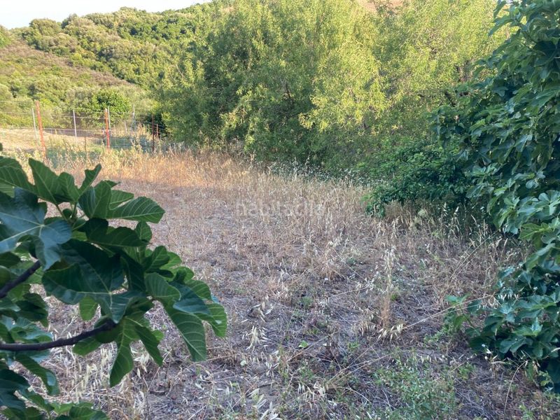 Foto c1babb5f-6c68-4c8f-a9f1-1143b76530f8. Finca rústica a Vejer Vejer de la Frontera
