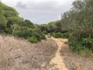 Terreny residencial a Vejer. Tierra de monte bajo en la muela