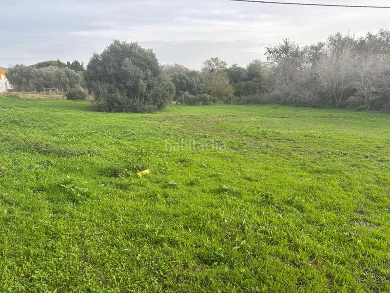 Foto 10de75d2-9c20-45cd-8f47-0f9d687dba98. Finca rústica a La Muela Vejer de la Frontera