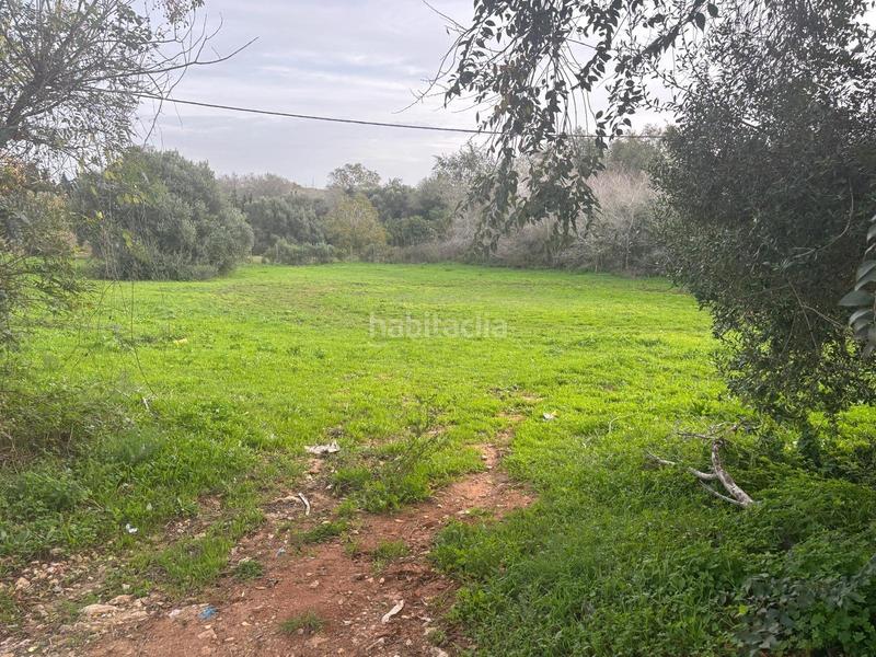 Foto 12c1fe30-e422-4143-aeed-716ca75a1e94. Finca rústica a La Muela Vejer de la Frontera