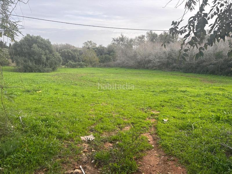 Foto 3e51e83d-212a-49ca-a027-be08a9464a97. Finca rústica a La Muela Vejer de la Frontera