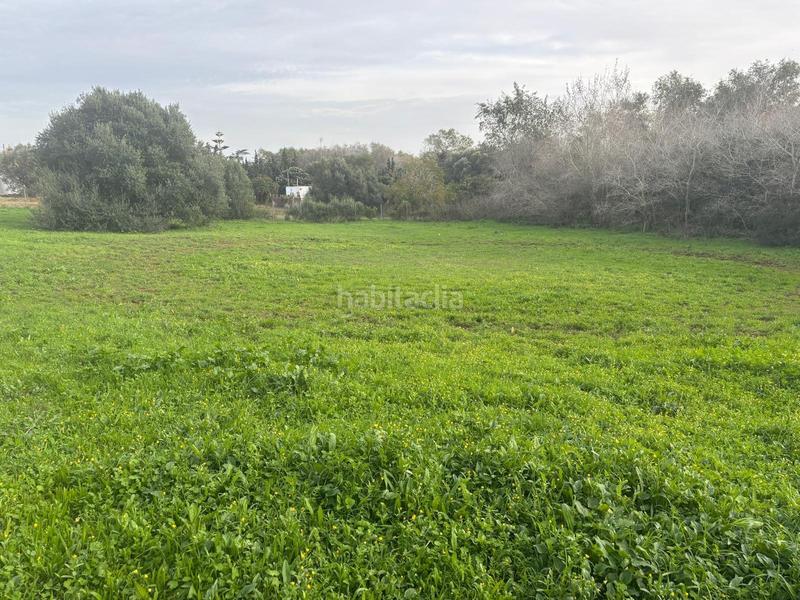 Foto 5c137c69-d568-4312-b0ab-590fd92718af. Finca rústica a La Muela Vejer de la Frontera