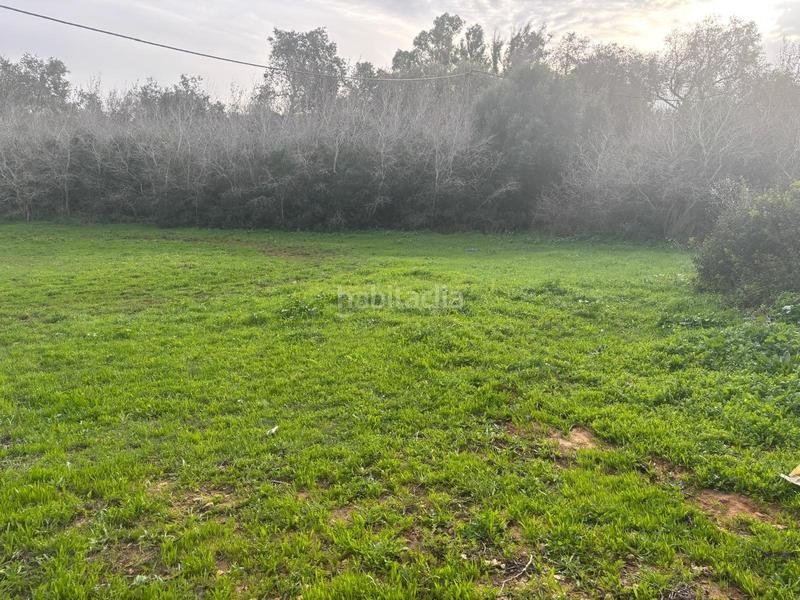 Foto 65a30bf2-1291-4e0b-80c8-2c847143382e. Finca rústica a La Muela Vejer de la Frontera