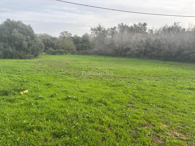 Foto c3005ad1-166f-41d1-862a-5a18b722200c. Finca rústica a La Muela Vejer de la Frontera